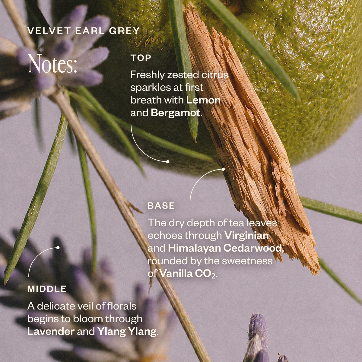 Drive Inspired