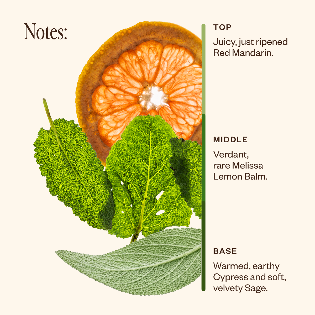Flow State
